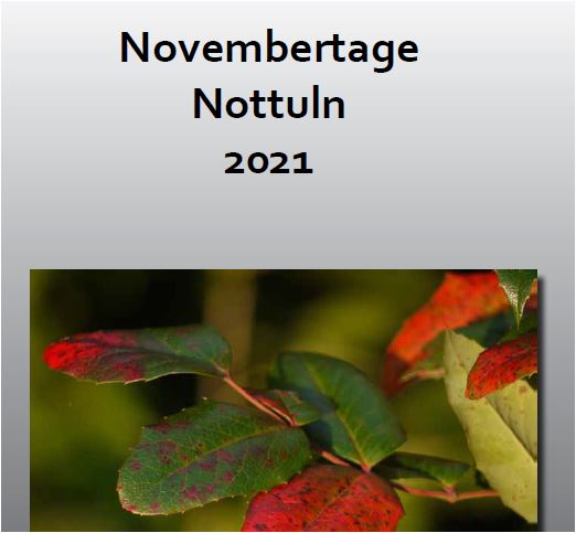 Novembertag 2021